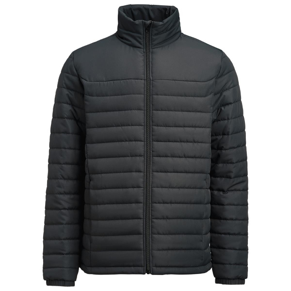 Arches Men's Padded Jacket Thumbnail